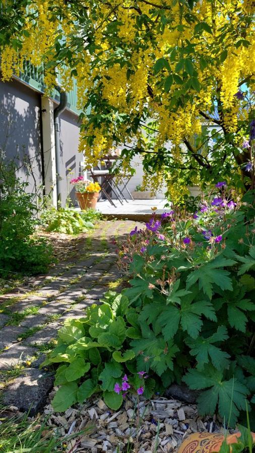 Old Charm Apartment - Keflavik Downtown エクステリア 写真